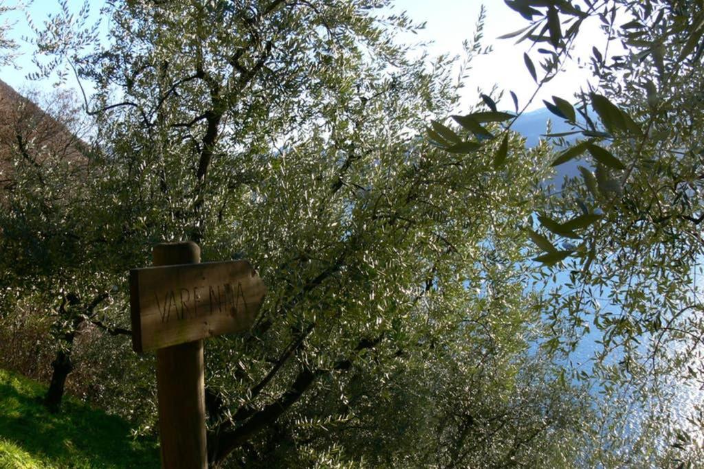 Perledo Luci Sul Lago - A Real Paradise מראה חיצוני תמונה