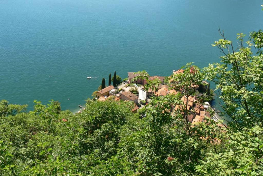 Perledo Luci Sul Lago - A Real Paradise מראה חיצוני תמונה