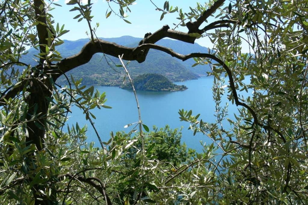 Perledo Luci Sul Lago - A Real Paradise מראה חיצוני תמונה